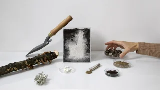 菌丝体：会“生长”的活材料如何改写设计规则