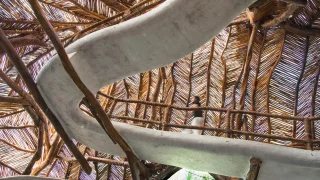 亲生物建筑的原则：把自然请回城市居所