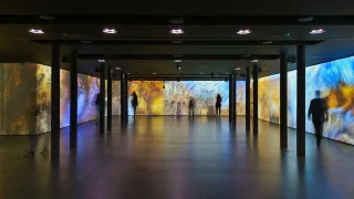神经科学进设计：空间如何影响感受与行为
