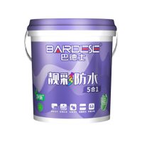 巴德士靓彩防水（5合1）